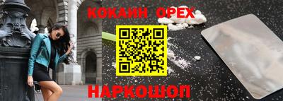 шишки Кингисепп