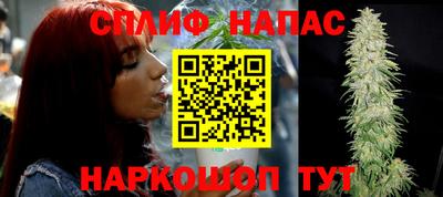 шишки Кингисепп