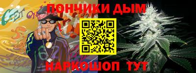 шишки Кингисепп