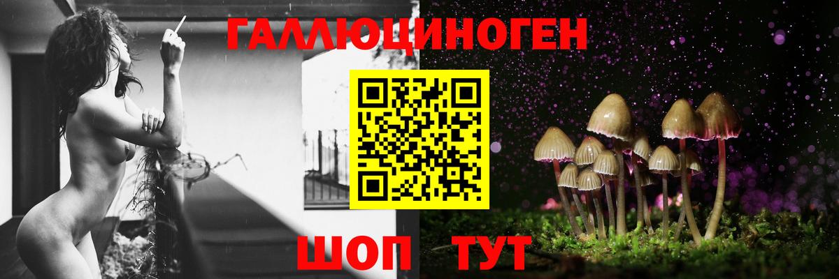 Псилоцибиновые грибы GOLDEN TEACHER  Вход с VPN  что такое   Жуковский 